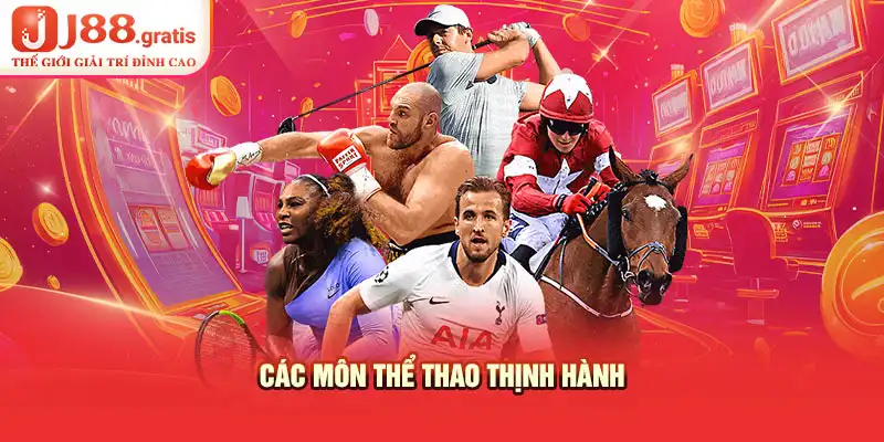 Các môn thể thao thịnh hành