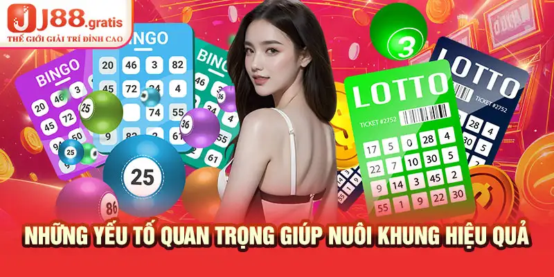 Những yếu tố quan trọng giúp nuôi khung hiệu quả