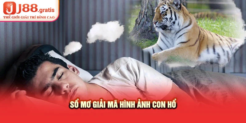 Sổ mơ giải mã hình ảnh con hổ